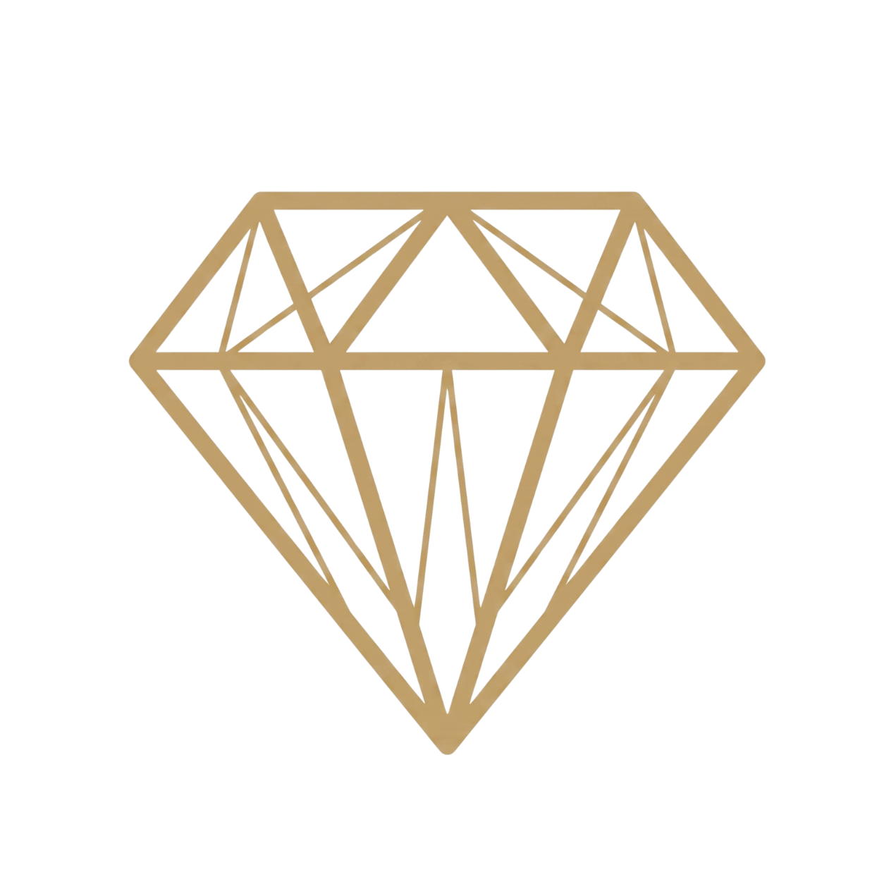 Curated Collections